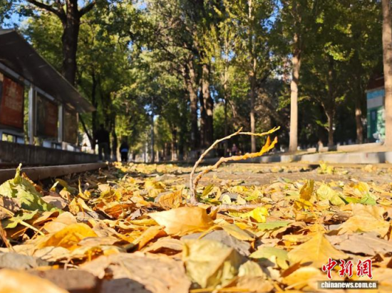 �S��54·��܉�܇�ؾ��h(hu��n)���������Σ���߅�Lò�����������S���~䁝M·�������� ���z