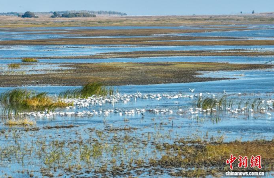 10��16�գ�����ĪĪ���(gu��)�Ҽ�(j��)��Ȼ���o(h��)�^(q��)��(n��i)�������ڑ�ˮ��(�o(w��)�˙C(j��)��Ƭ)�w��� �z