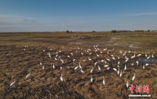 10��16�����ڼ���ĪĪ���(gu��)�Ҽ�(j��)��Ȼ���o(h��)�^(q��)��(n��i)���Q����Ϣ��(�o(w��)�˙C(j��)��Ƭ)�w��� �z