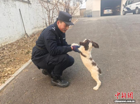 ���Ҳ������c�[�����B(y��ng)�H�ܶȡ���ʯ���� �z